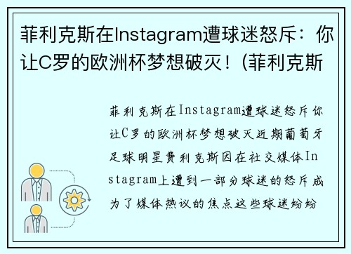 菲利克斯在Instagram遭球迷怒斥：你让C罗的欧洲杯梦想破灭！(菲利克斯转会)